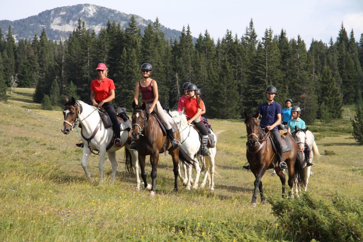 Les Formations D Accompagnateur De Tourisme Equestre